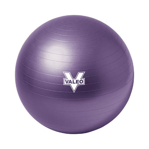 Body Ball 55 Cm.