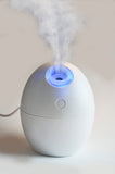 GreenAir Usb Aroma Diffuser Aromatherapy Mister