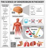 SD Pharmaceuticals Dendrobium 600, 40 Capsules