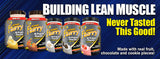 Advance Nutrient Science Gourmet Cheesecake Protein Bar Chocolate Peanut Butter Cheesecake 12 Bars
