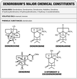 SD Pharmaceuticals Dendrobium 600, 40 Capsules